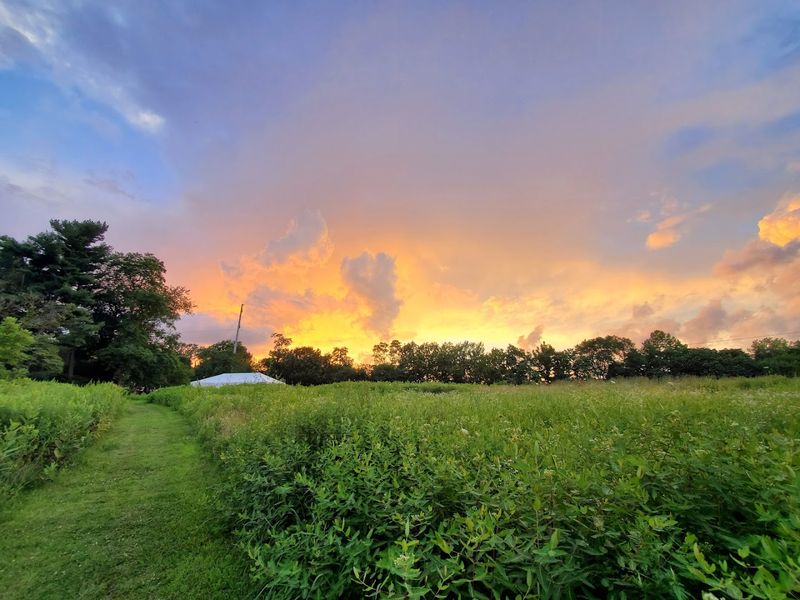 The Founding Family Behind Bartram's Garden