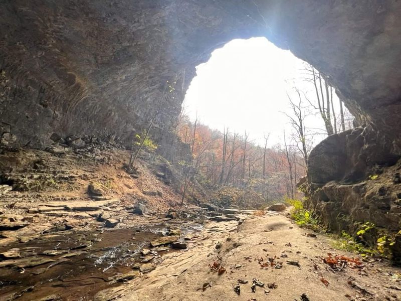 Lost Cove Cave (Buggytop Cave) – Sewanee, TN 37383