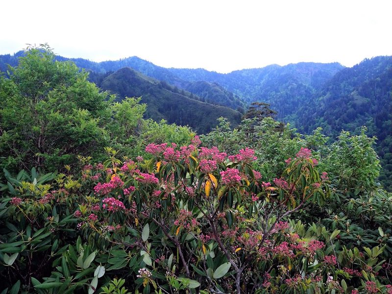 Family Friendliness And Bringing Kids On The Trail