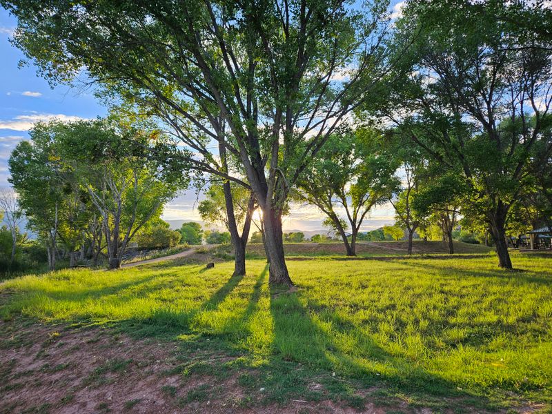 Picnicking Areas Nestle Beneath Cottonwood Oaks And Cottonwood Trees