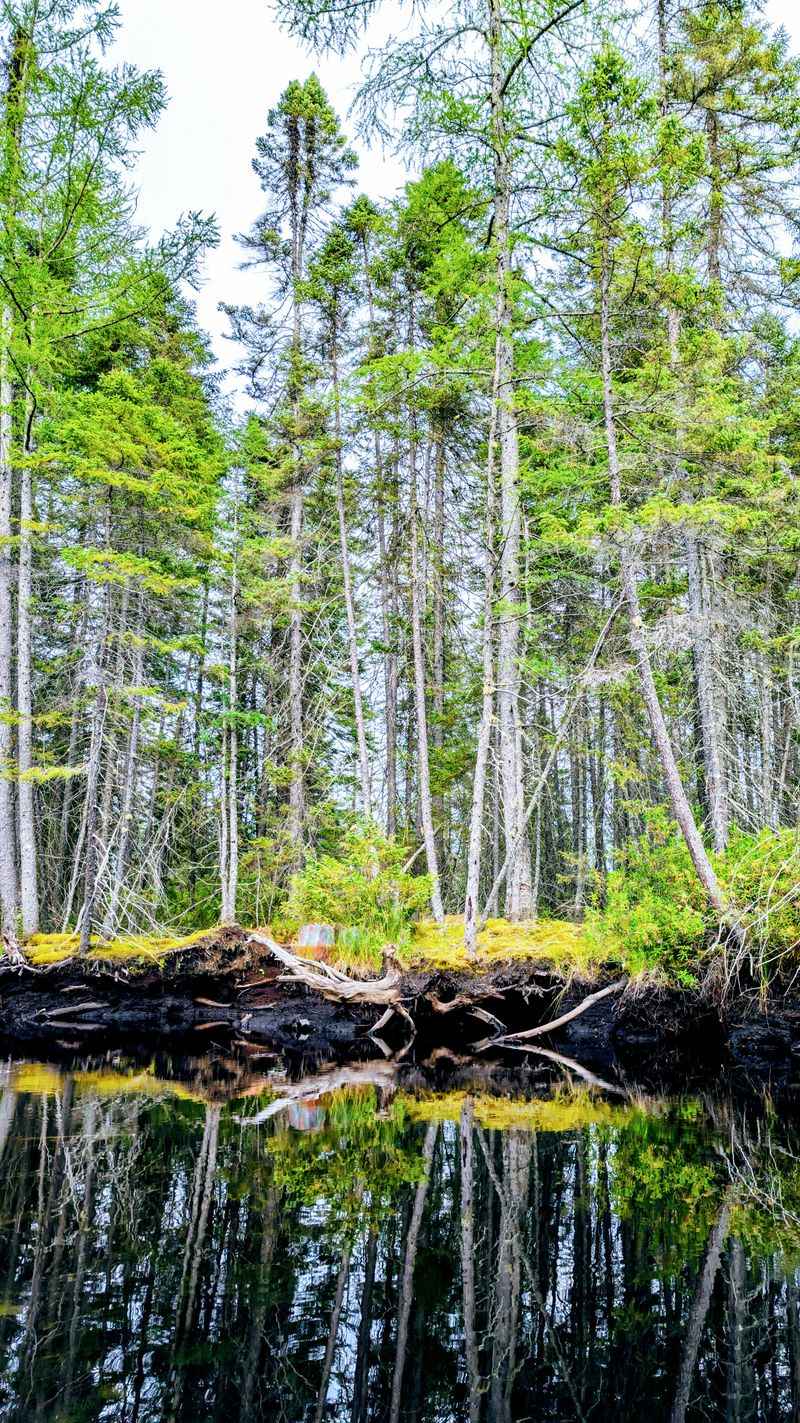 Seasons, Surfaces, And The Right Gear