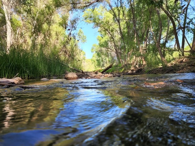 The Verde River Brings Scenic Water Access And Cool Riparian Shade