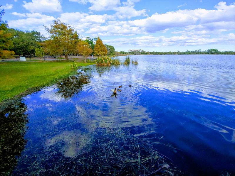Lake Baldwin Park Beach