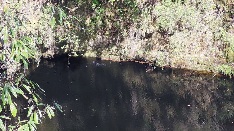 A Rare Look At Underground Cave Systems