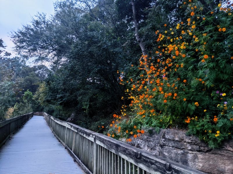 Stones River Greenway Arboretum, Murfreesboro