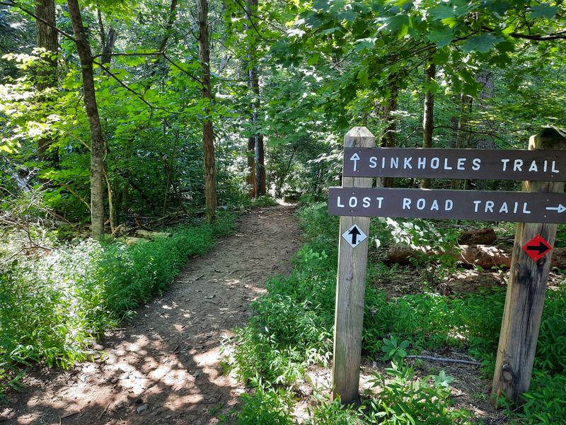 Panther Creek State Park