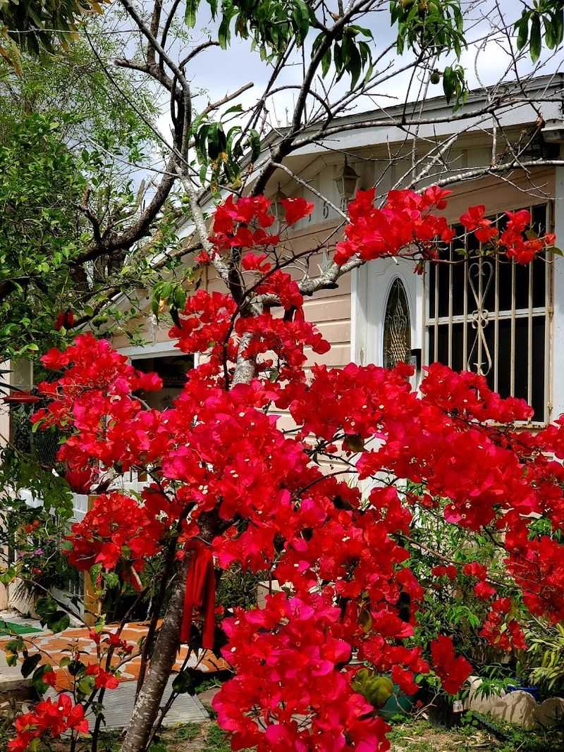 Fresh Produce At Accessible Prices