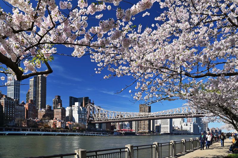 Roosevelt Island Promenade