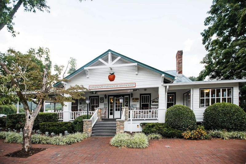 Timing Your Visit For Peak Pleasure