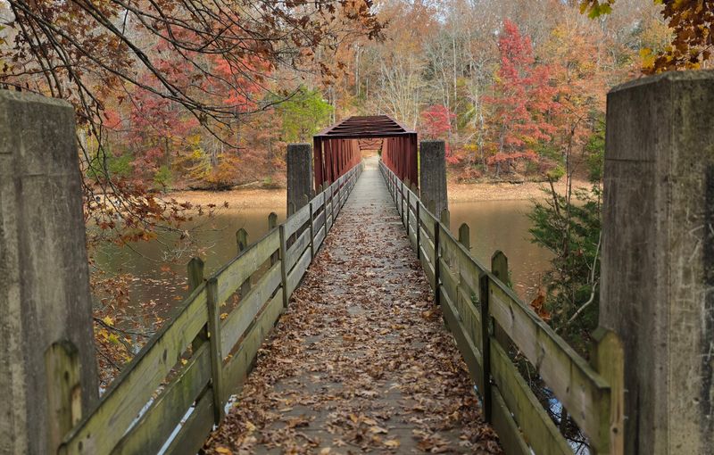 Cabins With Porches That Lean Into The View