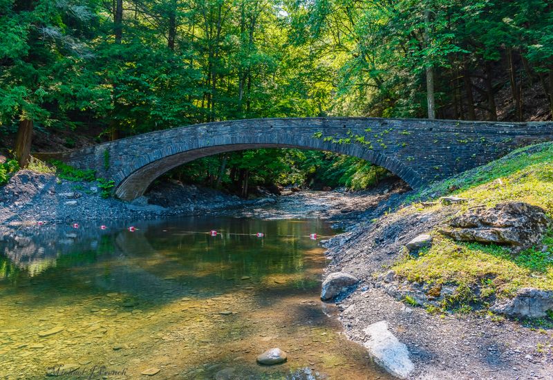 Fillmore Glen State Park