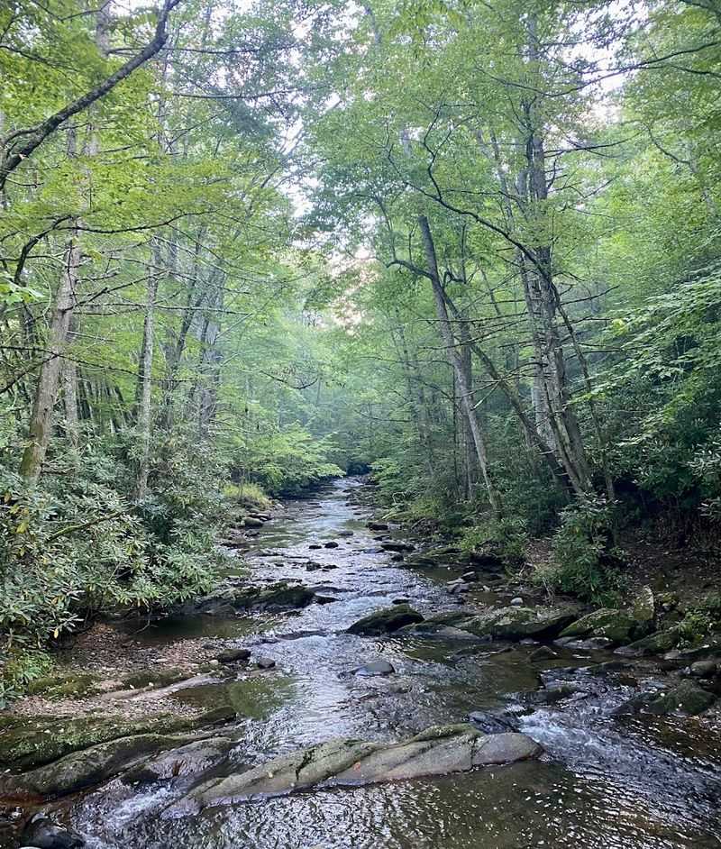 Roan Mountain State Park Campground