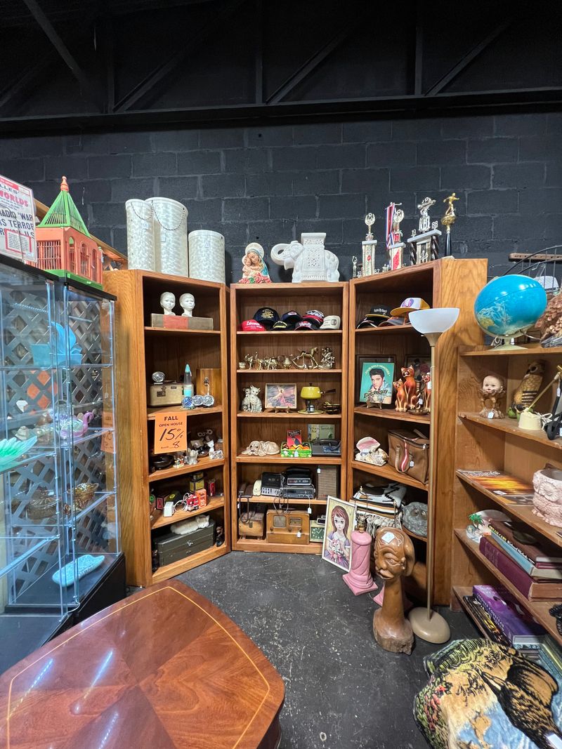 Antique Adventures: Hunting For StoriesOon Every Shelf