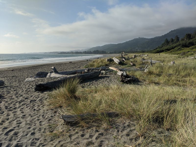 One Of California's Northernmost Beaches