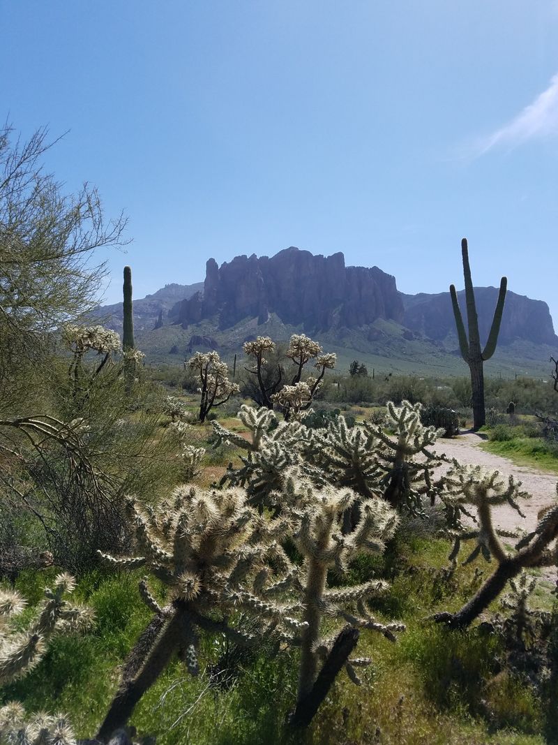 The Best Sunsets In Arizona: Capturing The Magic Of The Desert Sky