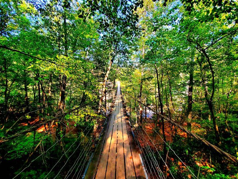 Suspension Bridge Over A Restless Creek