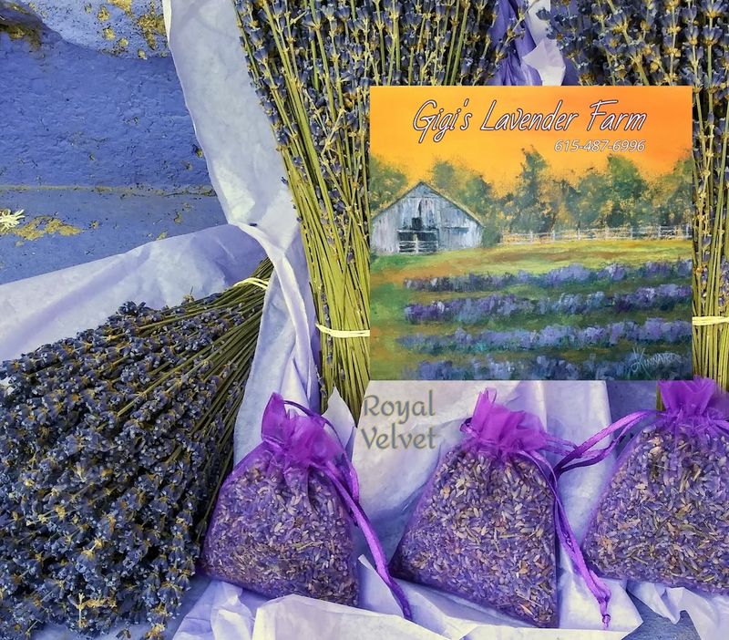 Seasonal Moments Worth The Drive