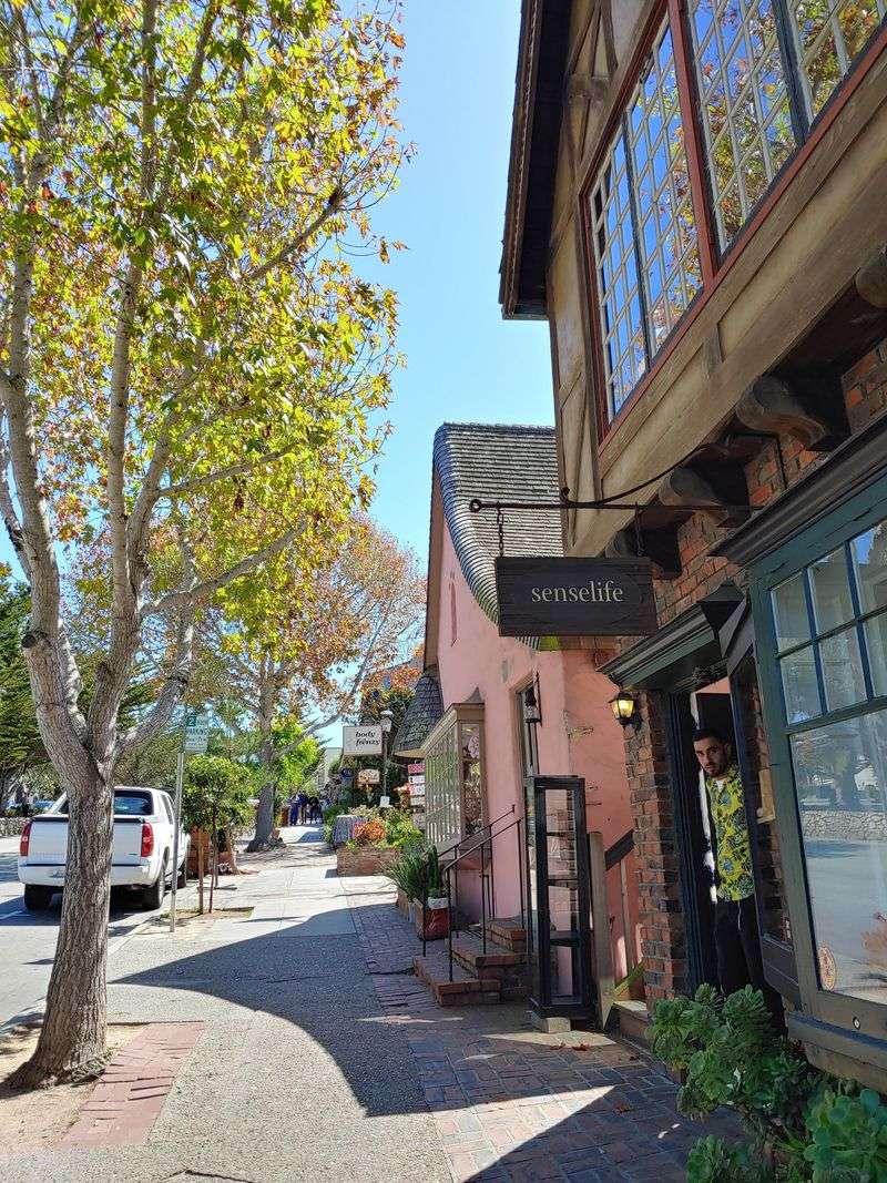 The Downtown Area Is Completely Walkable