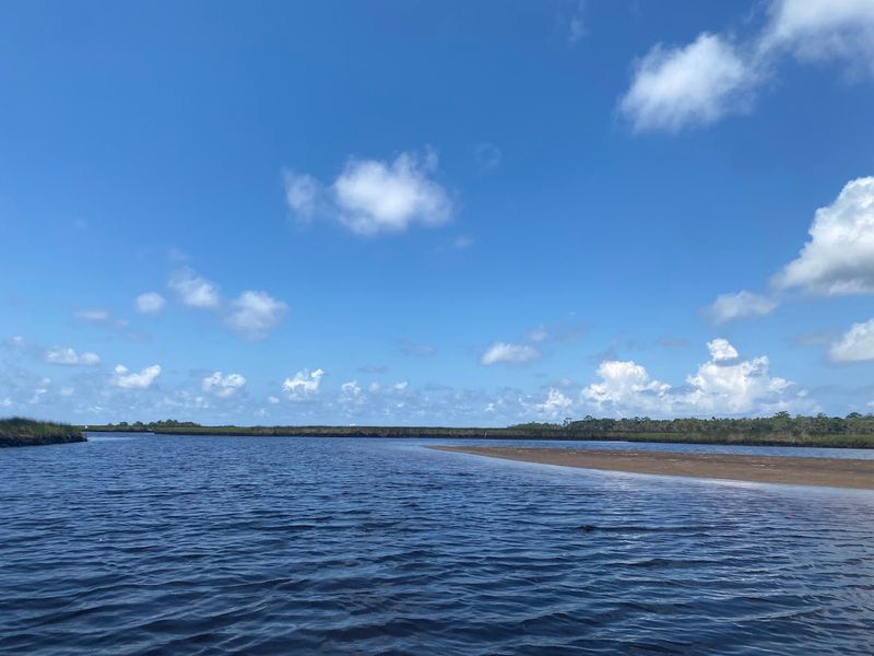 Steinhatchee (Big Bend)