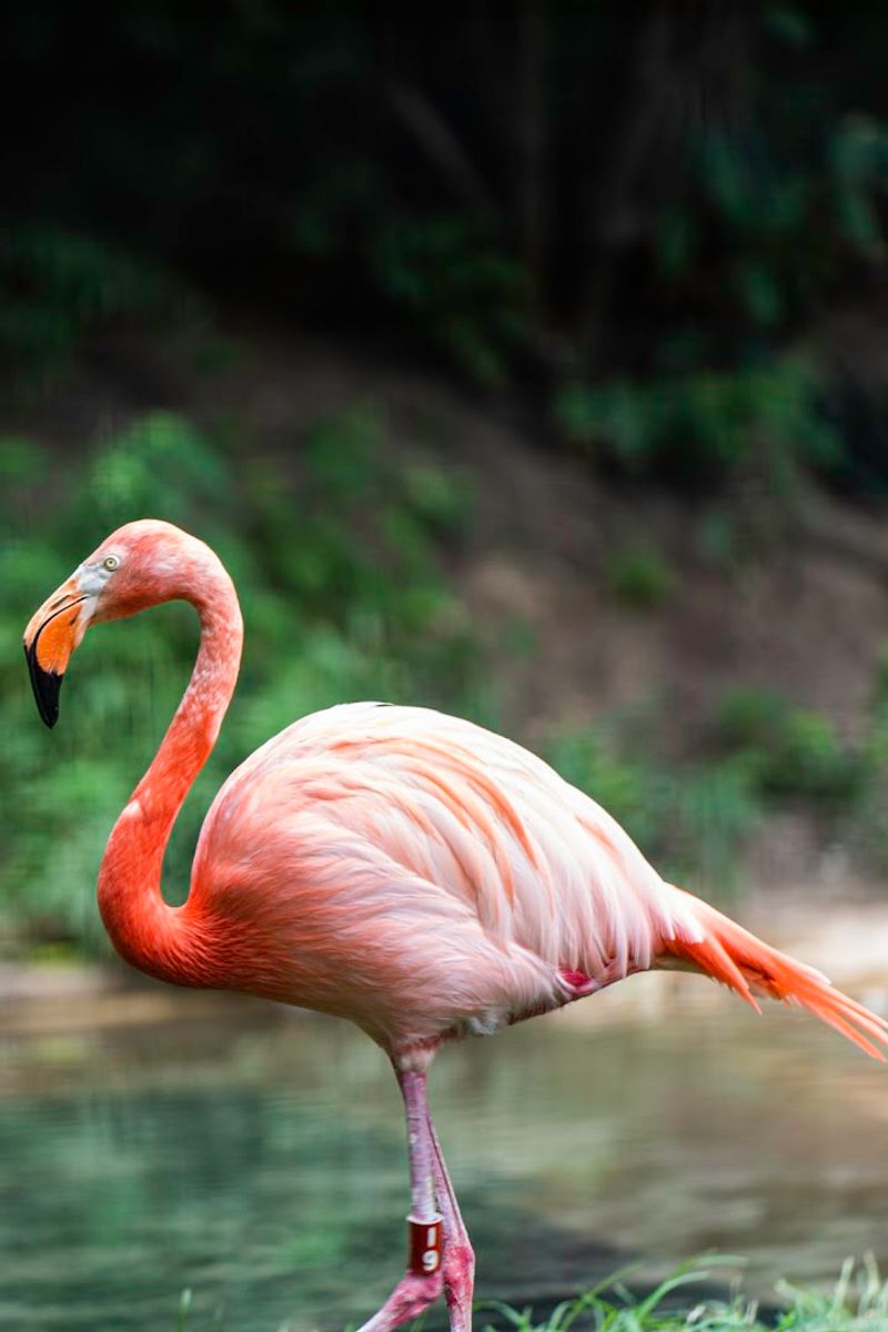 Columbus Zoo And Aquarium