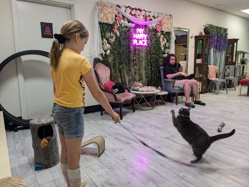 Staff, Volunteers, And Service Rhythm