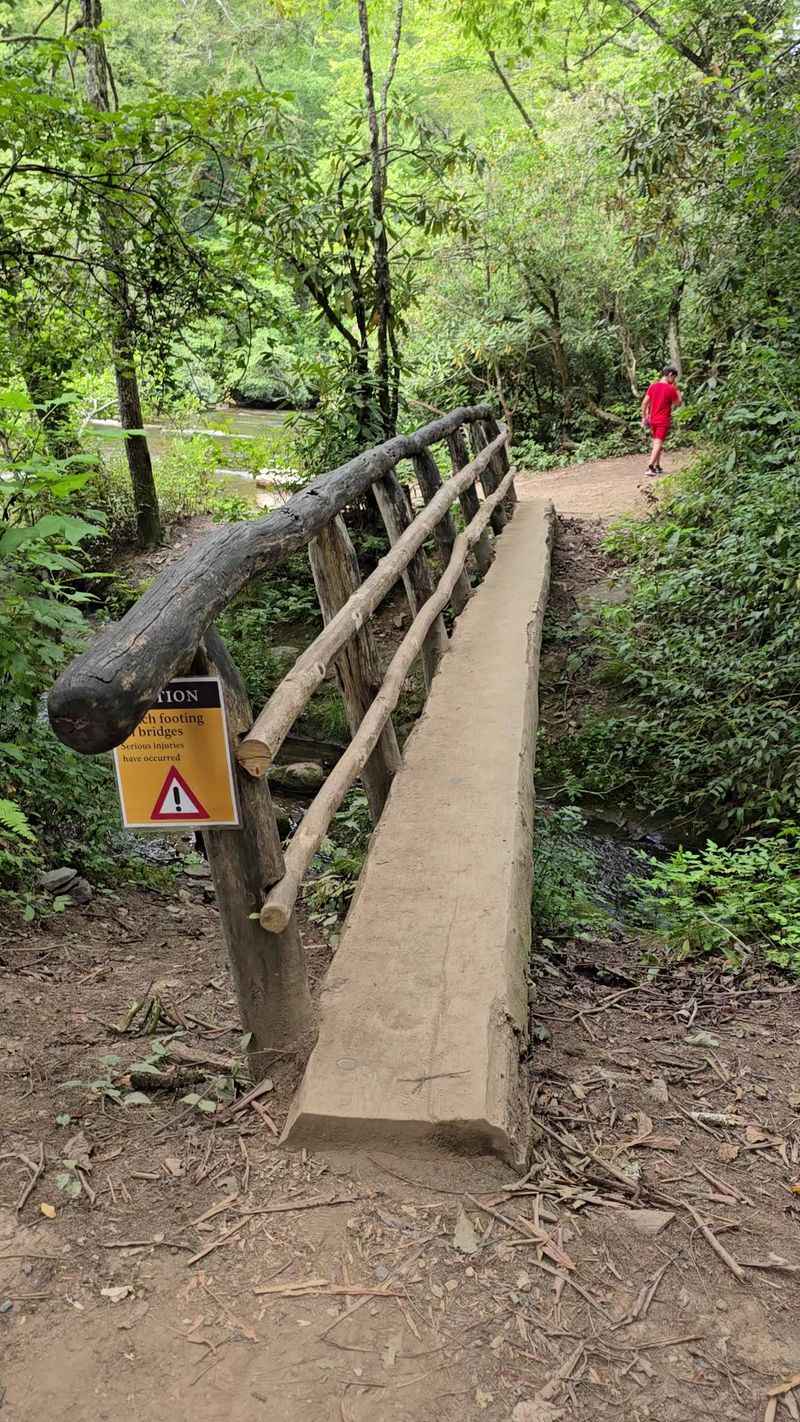 Abrams Falls From Cades Cove