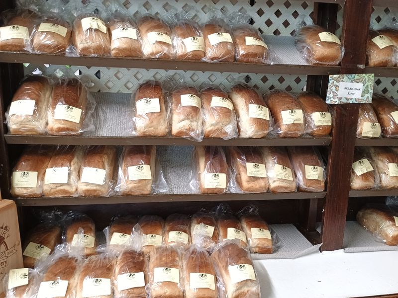 Salt Rising And Sourdough Stories