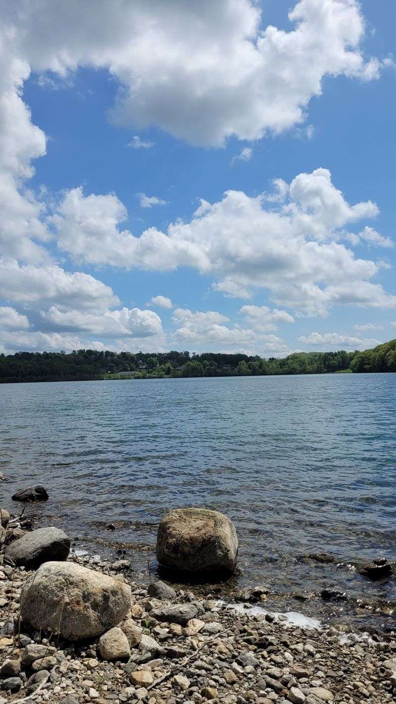 Lakefront Picnics With A Well Packed Basket