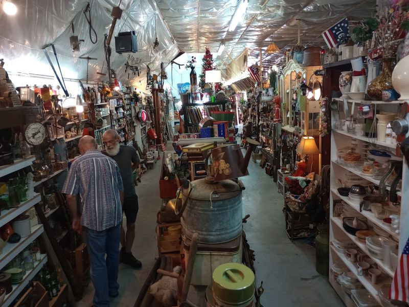 Weekend Hours And Timing Tips For Getting The Most Out Of Your Visit