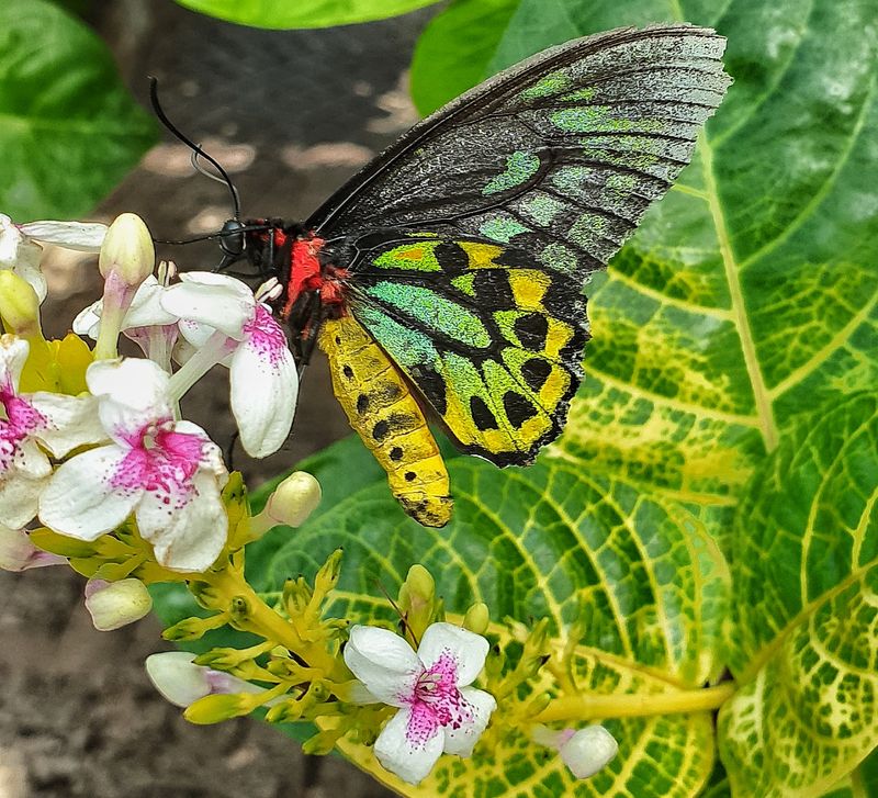 Moments At The Nectar Stations