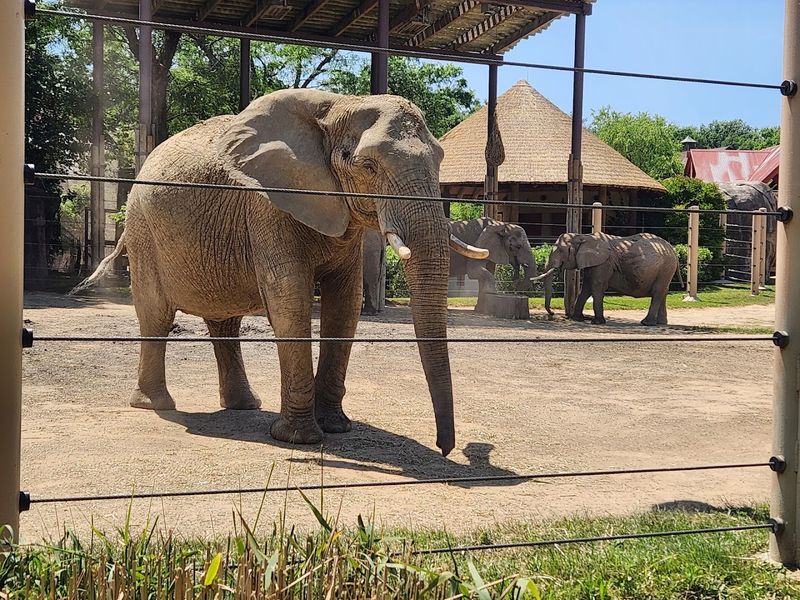 Cleveland Metroparks Zoo