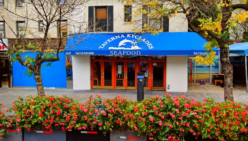 What The Regulars Know