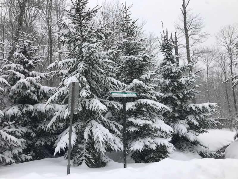 A Day Shaped By The Creek’s Clock