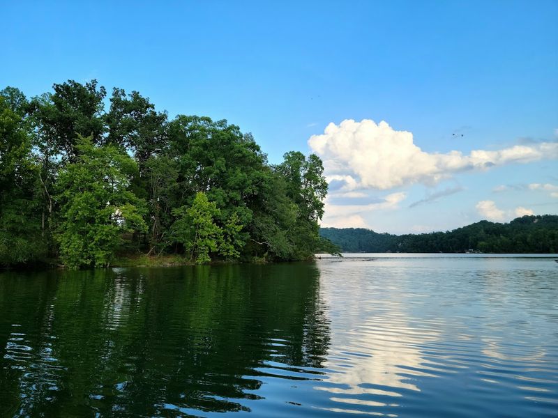 The Outdoors Are Practically At Your Front Door