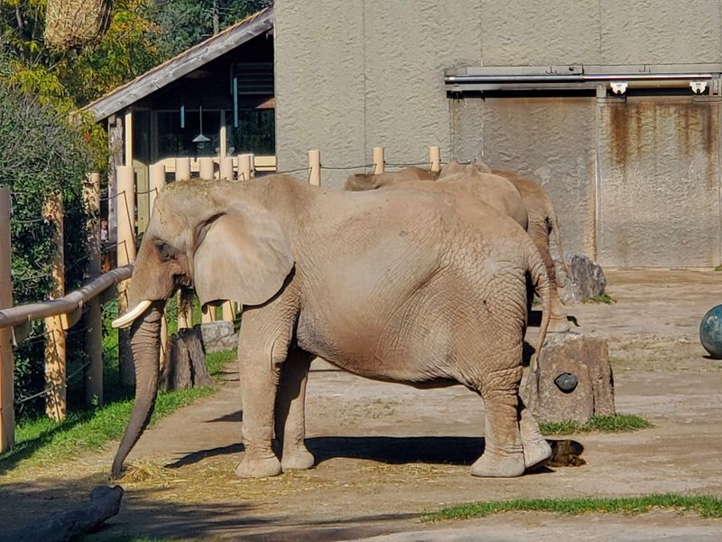 What To Wear And Bring