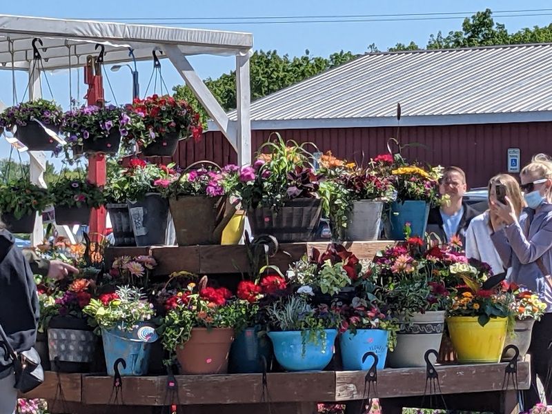 How To Walk It Well And Still Taste Everything