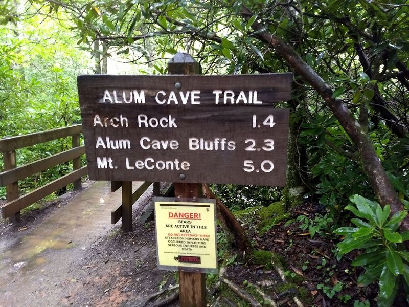 Parking Realities And How To Actually Secure A Spot