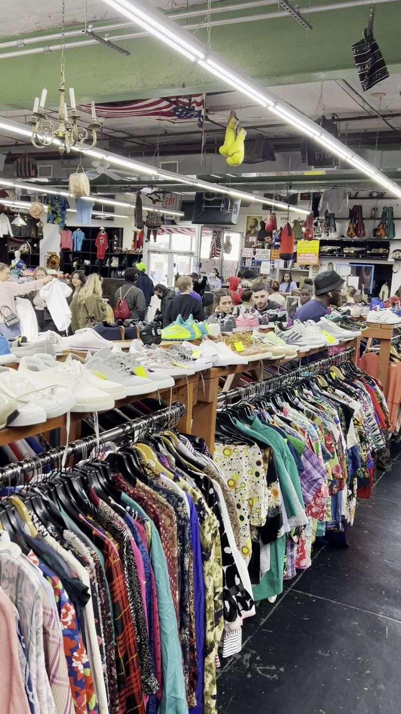 Urban Jungle (Brooklyn)