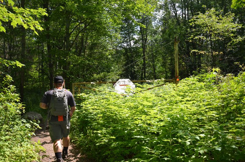 Black Bear Etiquette For Peaceful Encounters