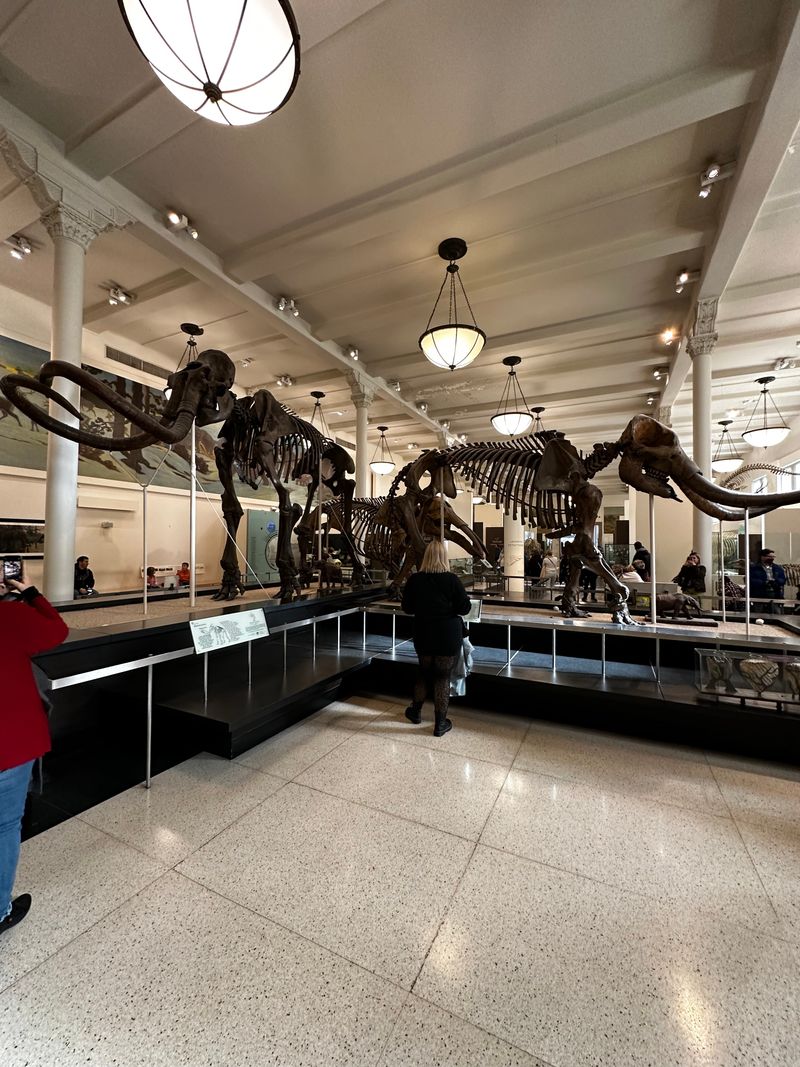 Planning Your Visit With Quiet Confidence