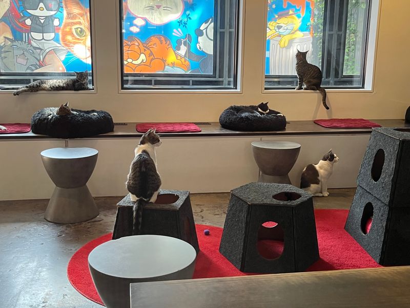 Planning Your Visit With Poise