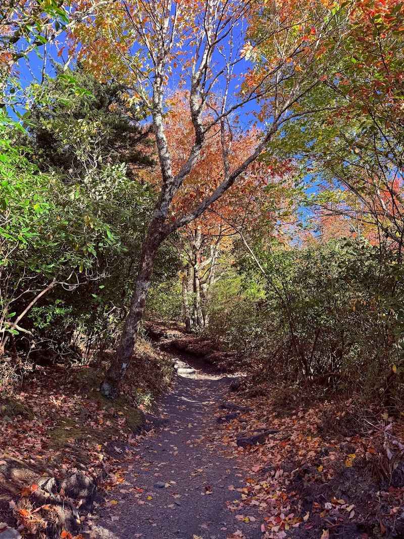 The Views At The Top That Justify Every Uphill Step