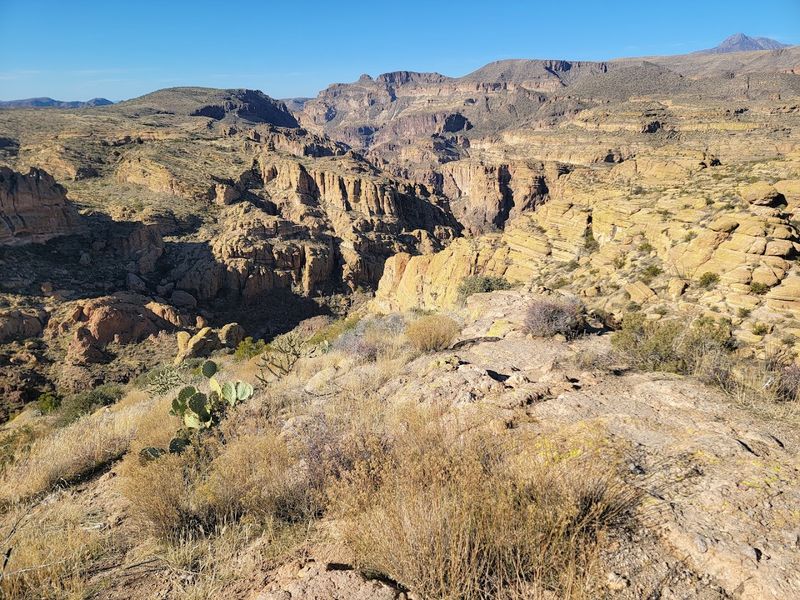 A Hidden Gem For Adventurers