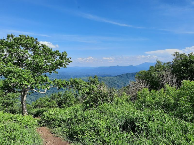 Beauty Spot And Its Open Meadow Summit