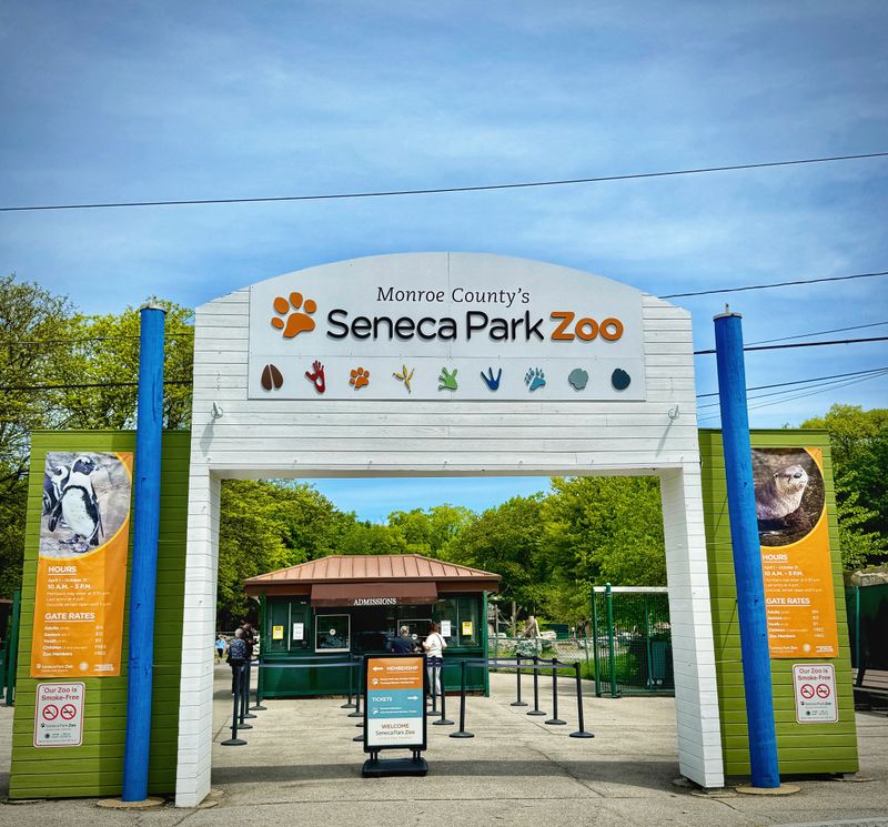 Address, Hours, And Quiet Logistics