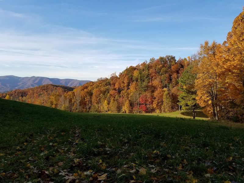 The Unaka Mountain Wilderness And Its Ridge Views