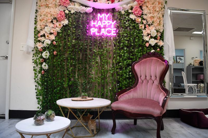 Best Times To Visit For Calm Or Play