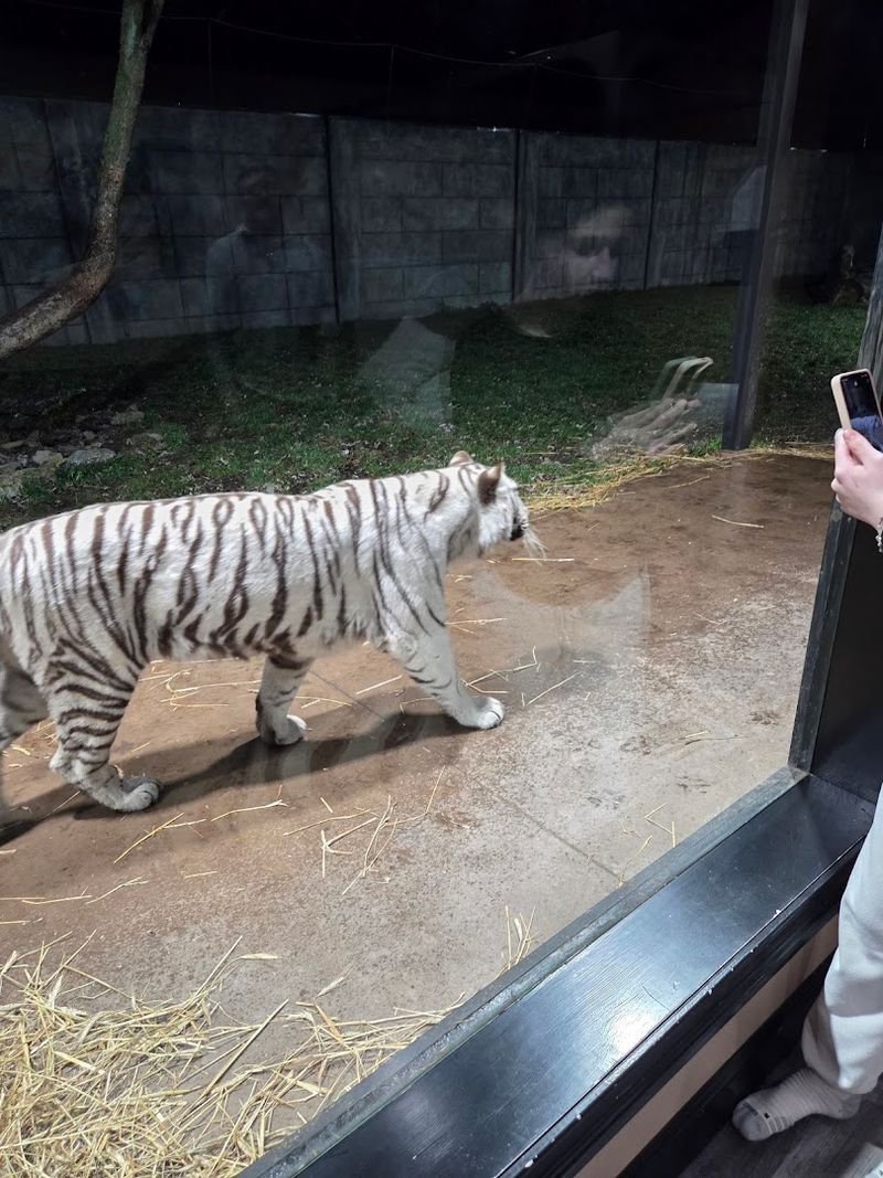 Why This Place Matters Beyond The Instagram Moment