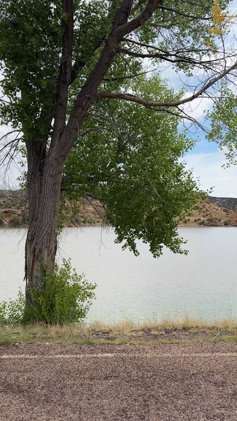 Fishing In Lyman Lake: A Tranquil Experience For Anglers