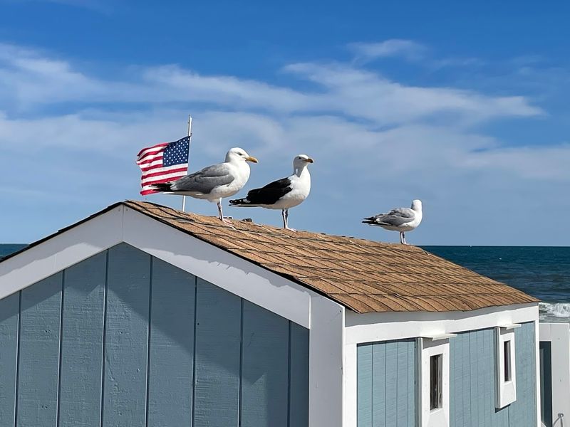 Activities Beyond Just Lying In The Sand